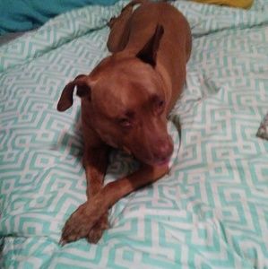 🎉Please check out my closet🎉